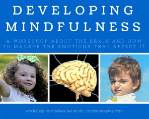 Developing Mindfulness workshop cover